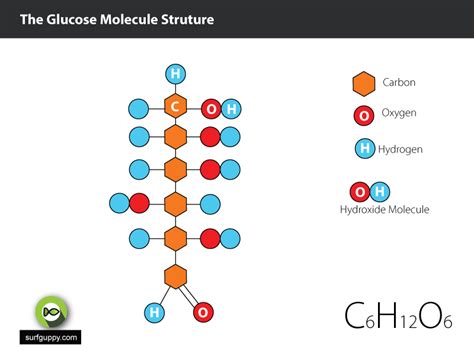 4 Simple Steps To Drawing Chain Structure Of Glucose Molecule