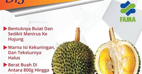 Di pasaran terdapat berbagai macam madu, mulai dari madu hutan, madu liar, madu klanceng dan sebagainya. Kenali Jenis Durian Paling Popular di Malaysia - MulaBaru ...