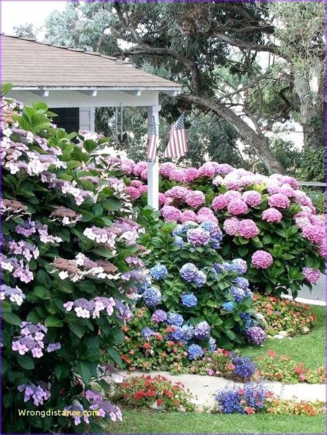 The large, conical flowers of oakleaf hydrangea appear in summer. 45 Shade Garden Ideas Under Trees - SILAHSILAH.COM | Shade ...