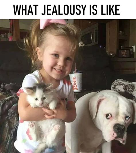 If Jealousy Had A Face Meme By Schizoidman Memedroid
