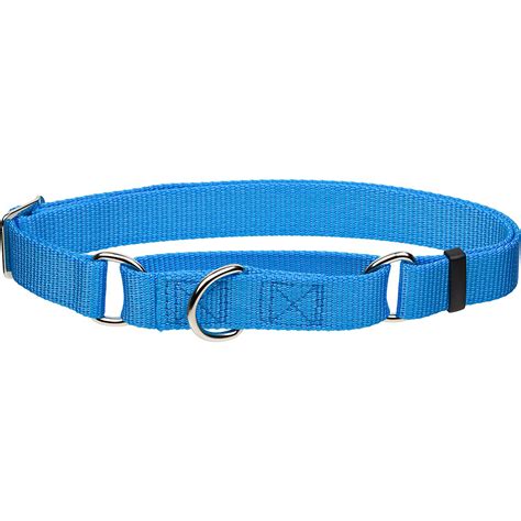 Coastal Pet No Slip Personalized Dog Collar In Light Blue Petco