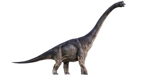 Jurassic World Brachiosaurus Render 2 By Tsilvadino On Deviantart