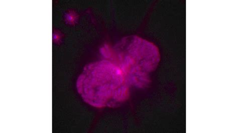 Exploding Star Eta Carinae Seen In Three Dimensions Hubblesite