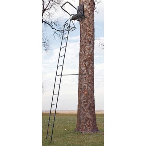 Guide Gear 16 Deluxe Ladder Tree Stand 158965 Ladder Tree Stands At