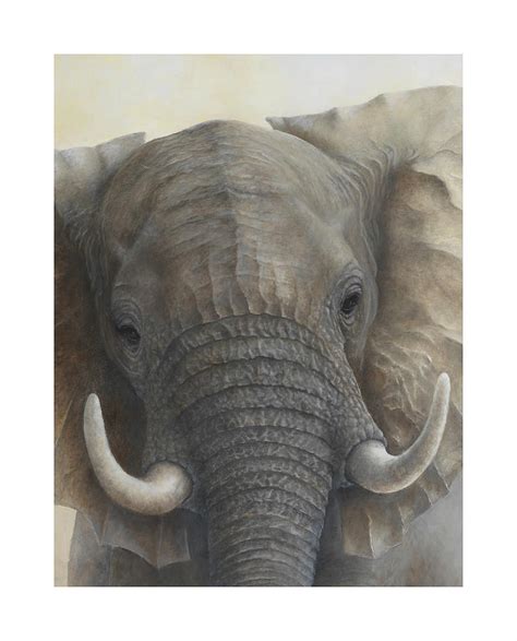 African Elephant Head Painting By Jean Hynes Fine Art America