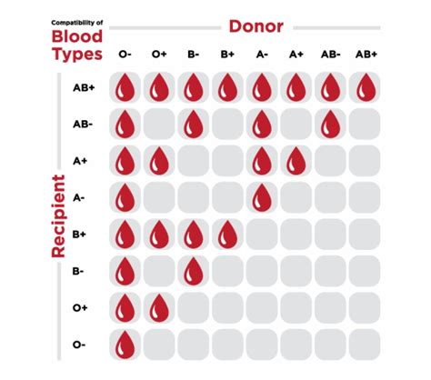 My blood type is b, the most disadvantaged type in japan. Some Important Blood Donation Eligibility Information ...