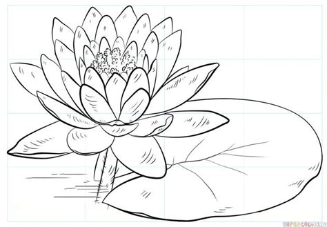 How To Draw A Water Lily And Pad Цветочные рисунки 3d рисунки Артбуки