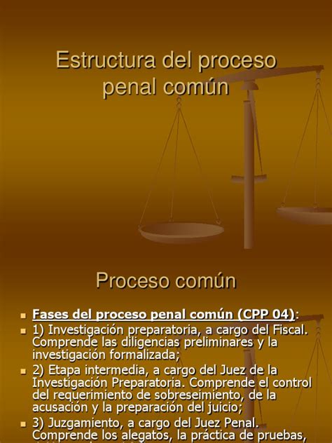 Estructura Del Proceso Penal Común Evidencia Ley Policía