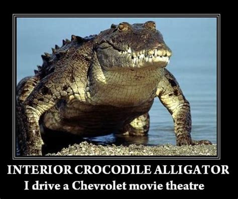 Image 64857 Interior Crocodile Alligator Know Your Meme