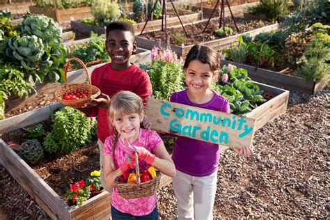 Community Gardens Are Growing Health Food And Opportunity