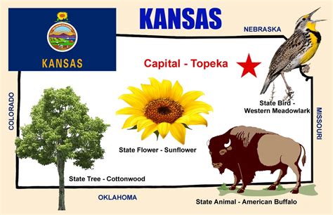 Kansas Symbols Coloring Pages