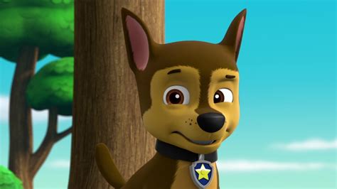 Chasegallerypups Save A Cow Paw Patrol Wiki Fandom