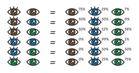 Eye Color Chart What Color Eyes Will My Baby Have Eye Color Change