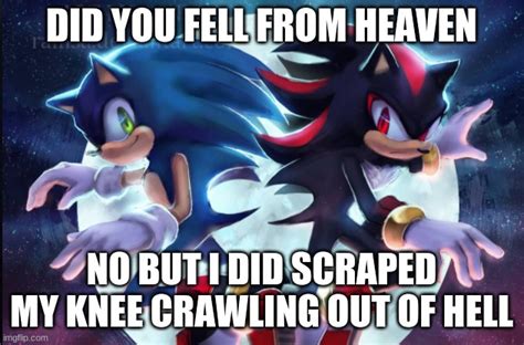 Sonic The Hedgehog And Shadow The Hedgehog Imgflip