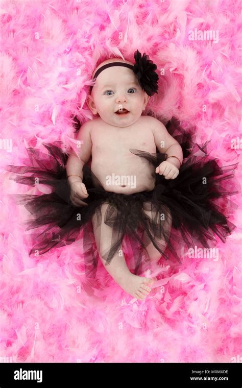 Pretty Litter Girl 4 Month Old Baby Girl In Tutu On Pink Feathers