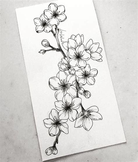 10 Lapiz Flores Dibujo