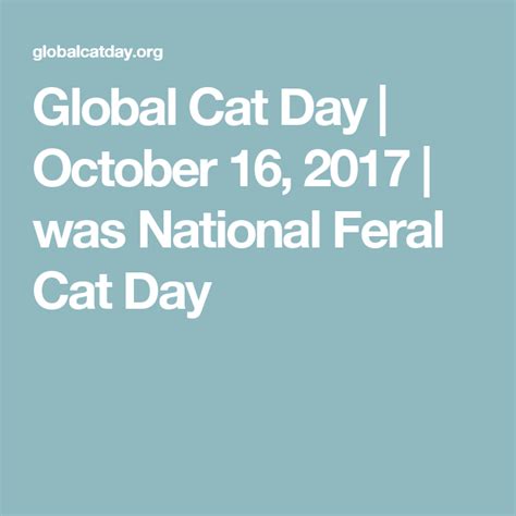 Global Cat Day October 16 2017 Was National Feral Cat