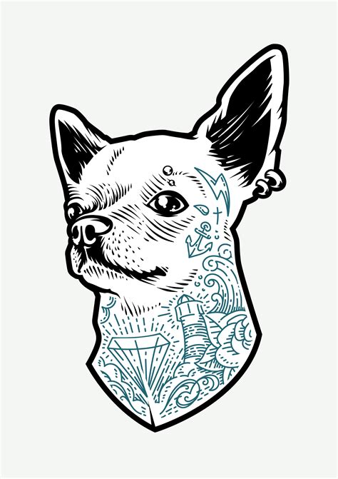 Tattooed Chihuahua 338316 Vector Art At Vecteezy