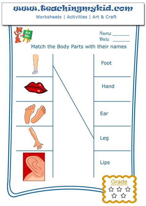 Free Worksheets Match The Body Parts With Their Names 2