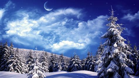 Winter Wonderland Scenes Wallpaper 38 Images