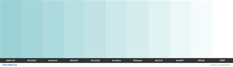 Matte Aqua Colors Palette Colorswall