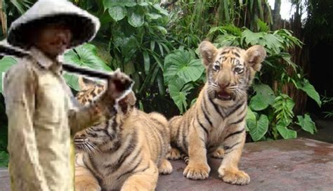 Check spelling or type a new query. Gambar Dongeng Petani Yang Baik Hati - Tempat Berbagi Gambar
