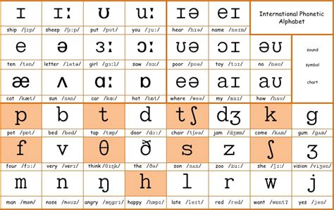 Open Learning For All Phonetic Symbols