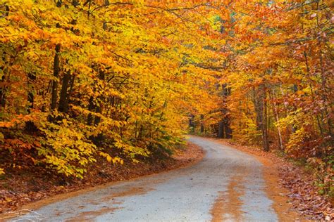 Scenes Of Autumn In New England From Our Fall Foliage Forecaster New