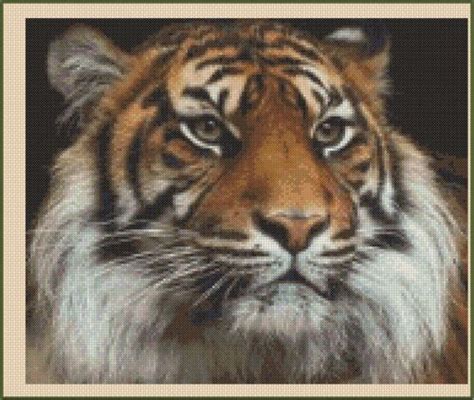 Bengal Tiger Counted Cross Stitch No 2 95 EBay