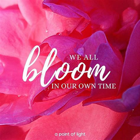 We All Bloom In Our Own Time Bloom Quotes Mindset Quotes Self Love