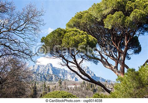 Beautiful Landscape With Mountains And Trees On The Sky Background