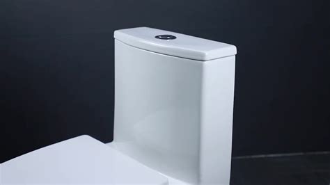 Zhongya Oem Wholesale Dual Flush Bathroom Wc Piss Peeping Toilet