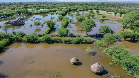 Climate Change Voices From Global South Muted By Climate Science Bbc