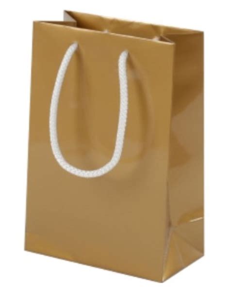 White Gloss Boutique Paper Carrier Bags With Rope Handles Small 16cm