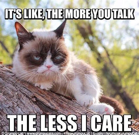 I Love Me Some Grumpy Cat Lol Funny Grumpy Cat Memes Grumpy Cat