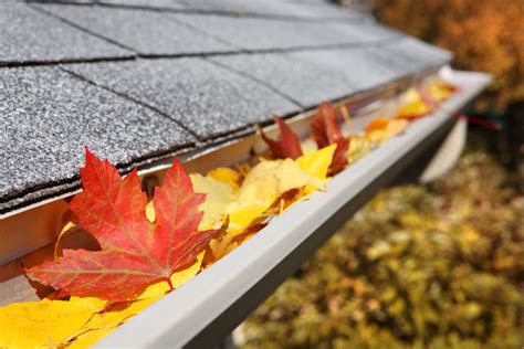 5 Helpful Roofing Maintenance Tips Every Homeowner Should Know