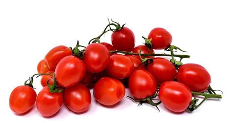 Tomato Facts 19 Interesting Facts About Tomatoes