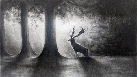 Deer In Forest Drawing At Explore