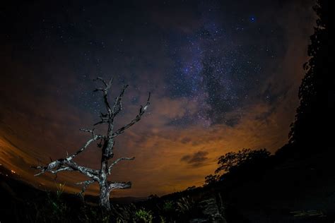 Amazing Night Sky Photos By Stargazers November 2013