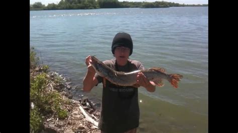 4 12 Pound Pike Caught On Cotton Cordell Super Spot Youtube