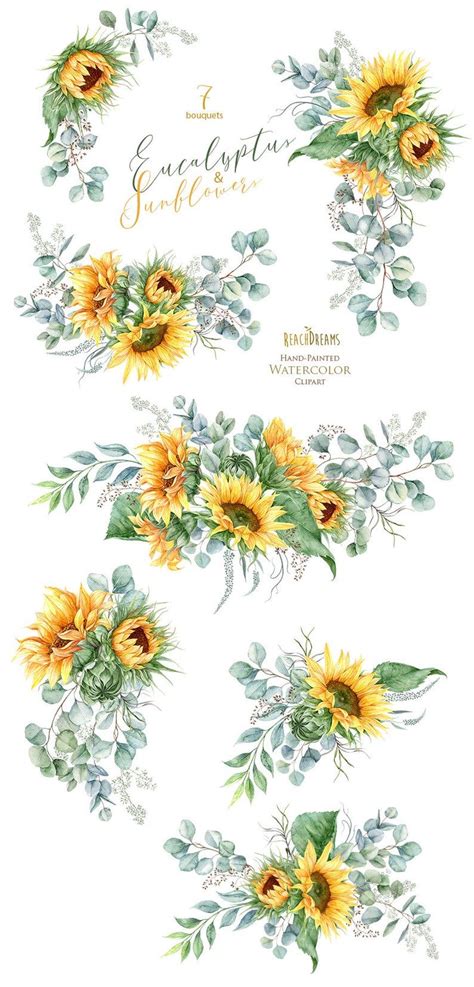 Download Sunflower clipart, Eucalyptus clipart, Greenery clipart ...