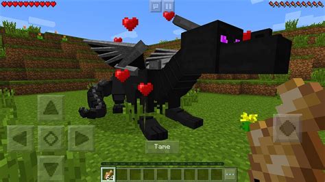 How To Tame A Ender Dragon In Minecraft Pocket Edition Ride Dragon