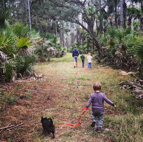 25 Underrated Hiking Spots In The Orlando Area Hiking Spots Florida