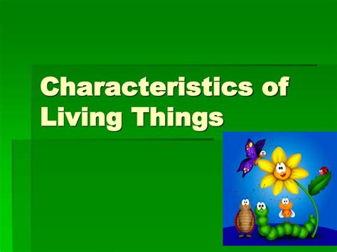 Ppt Characteristics Of Living Things Powerpoint