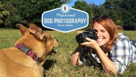 12 Professional Dog Photography Tips Bodie On The Road