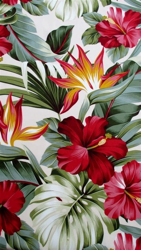 Hawaiian Flowers Wallpapers Top Free Hawaiian Flowers Backgrounds Wallpaperaccess