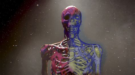 Wip Log Modeling Skeleton Flesh In Blender Time Lapse Works In