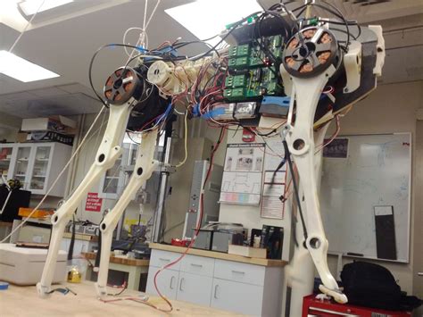 Mit Biomimetic Robotics Lab Biomimetic Robotics Lab Of Prof Sangbae