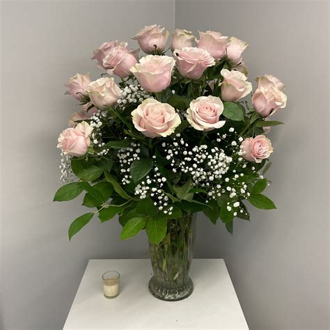 2 Dozen Pink Mondial Roses In Peabody Ma Evans Flowers