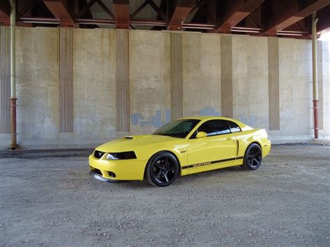 Zinc Yellow 2003 Ford Mustang